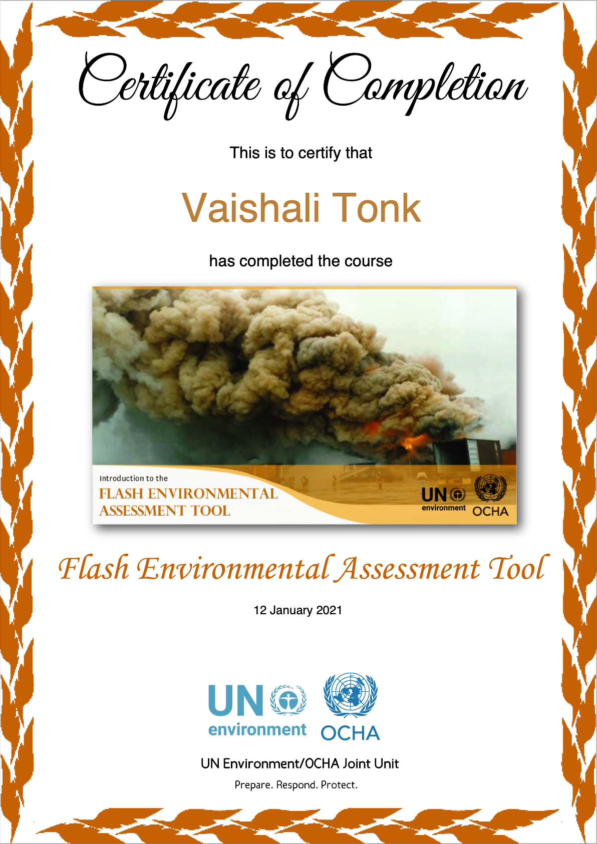 Flash Environmental Assessment Tool